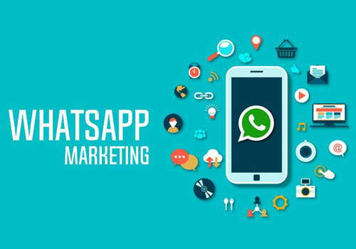 WhatsApp Marketing Company Jaipur, India. We Helps to Improve Your Business Effectiveness with our WhatsApp Marketing Services. Contact us Now!